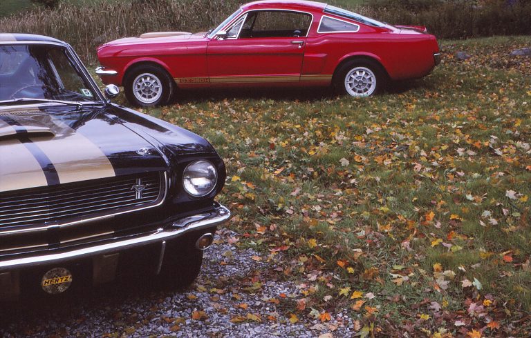Shelby GT350H: Let Hertz put you in the (race) driver’s seat